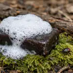 El jabón de alquitrán será su defensa secreta contra las garrapatas esta primavera el-jabon-de-alquitran-sera-su-defensa-secreta-contra-las.png